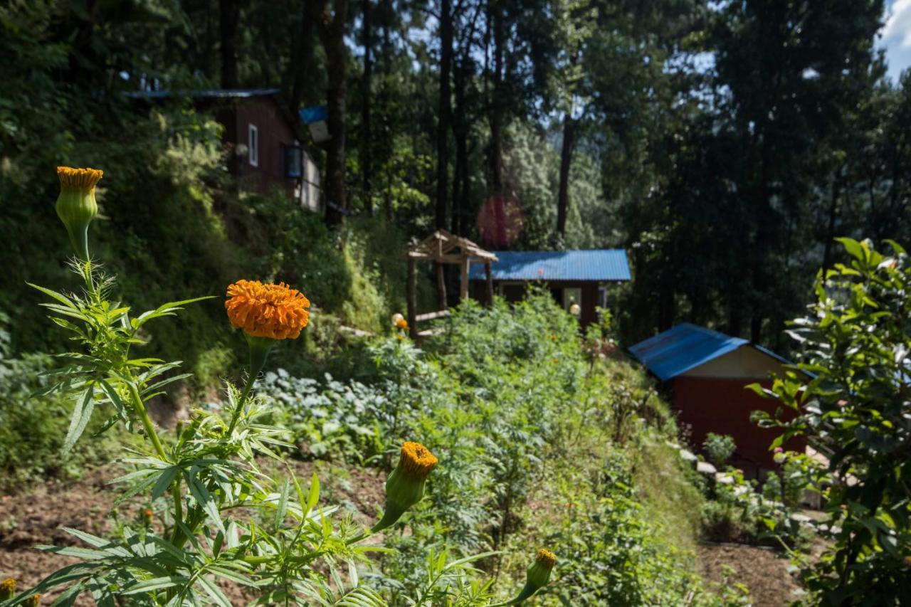 Jungle Crown Organic Homestay Nagarkot Exterior photo